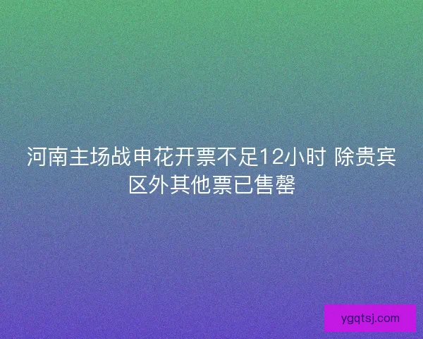 河南主场战申花开票不足12小时 除贵宾区外其他票已售罄