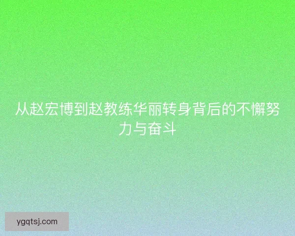 从赵宏博到赵教练华丽转身背后的不懈努力与奋斗